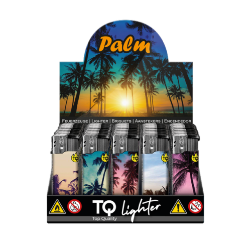 Lighters Palm